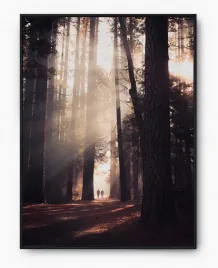 plakat-bez-ramy-a3-30x40-imp-las-10