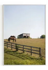 plakat-a4-21x30-w-ramie-m2p-konie-17
