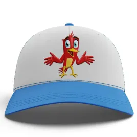 smieszna-niebieska-czapka-z-daszkiem-memy-na-prezent-imp-ptaki-09