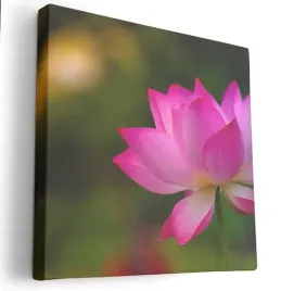 obraz-na-plotnie-40x40-m2p-rosliny-20-canvas-wzory