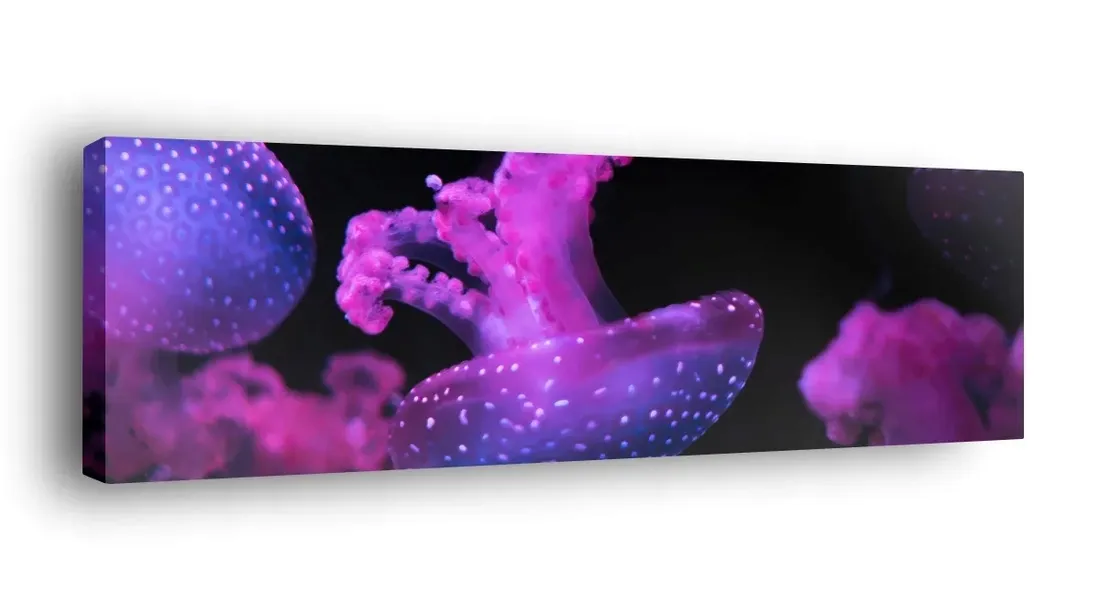 obraz-na-plotnie-145x45-m2p-ocean-20-canvas-wzory