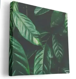 obraz-na-plotnie-80x80-m2p-rosliny-01-canvas-wzory