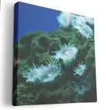 obraz-na-plotnie-40x40-m2p-ocean-16-canvas-wzory