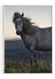 plakat-a4-21x30-w-ramie-m2p-konie-15