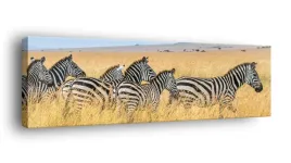 obraz-na-plotnie-145x45-m2p-sawanna-11-canvas