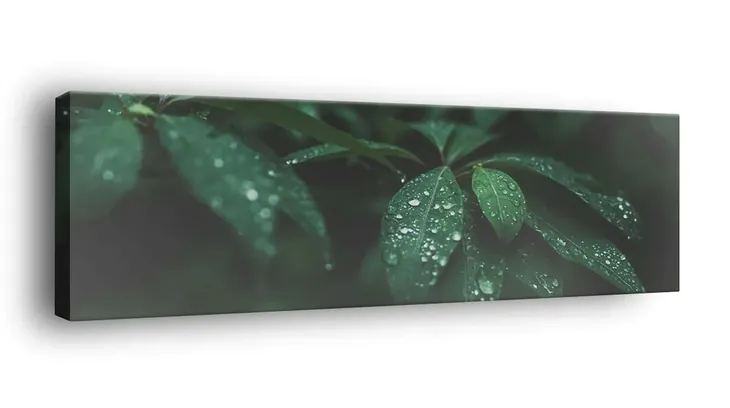 obraz-na-plotnie-145x45-m2p-rosliny-05-canvas