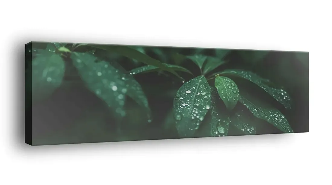 obraz-na-plotnie-145x45-m2p-rosliny-05-canvas