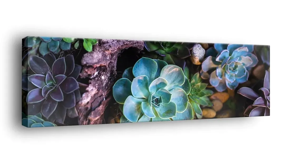 obraz-na-plotnie-145x45-m2p-rosliny-16-canvas