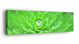 obraz-na-plotnie-145x45-m2p-rosliny-13-canvas