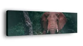 obraz-na-plotnie-145x45-m2p-sawanna-18-canvas
