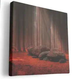 obraz-na-plotnie-40x40-m2p-las-18-canvas-wzory