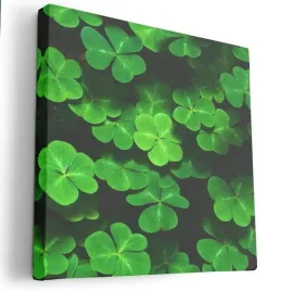 obraz-na-plotnie-80x80-m2p-rosliny-12-canvas-wzory