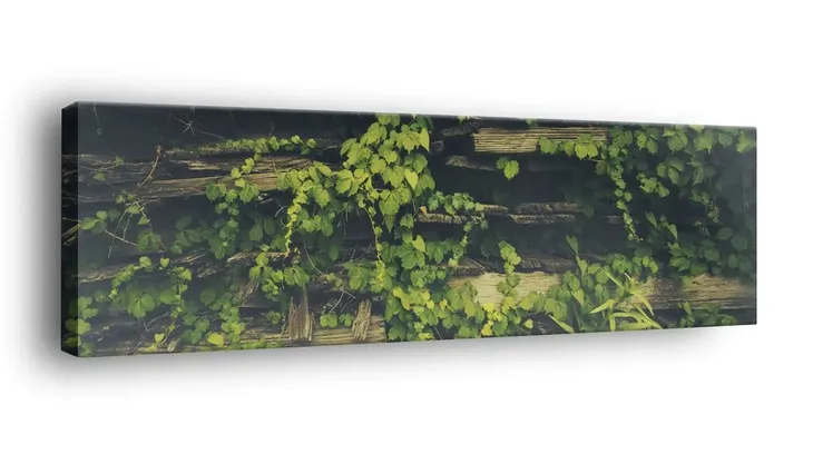 obraz-na-plotnie-145x45-m2p-rosliny-14-canvas