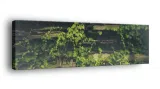 obraz-na-plotnie-145x45-m2p-rosliny-14-canvas