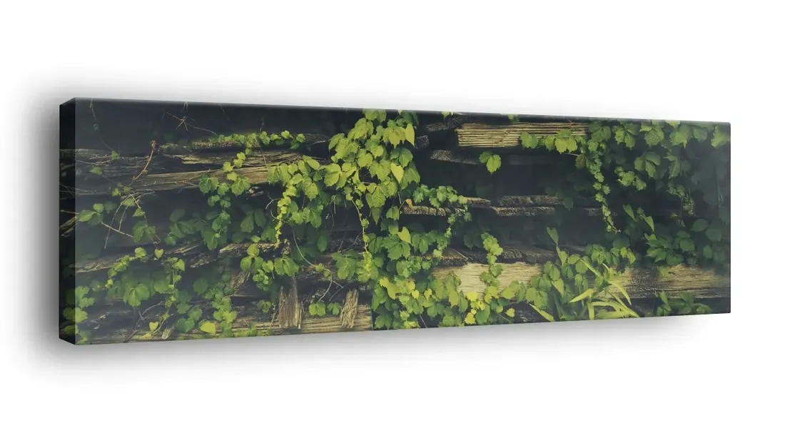 obraz-na-plotnie-145x45-m2p-rosliny-14-canvas