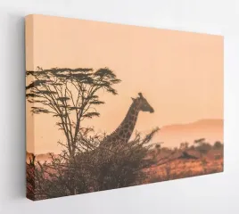 obraz-na-plotnie-100x75-m2p-sawanna-15-canvas