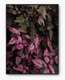 plakat-bez-ramy-a2-40x50-imp-liscie-13