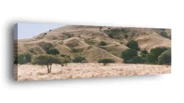 obraz-na-plotnie-145x45-m2p-sawanna-20-canvas