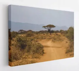 obraz-na-plotnie-100x75-m2p-sawanna-08-canvas