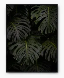 plakat-bez-ramy-a3-30x40-imp-monstery-12