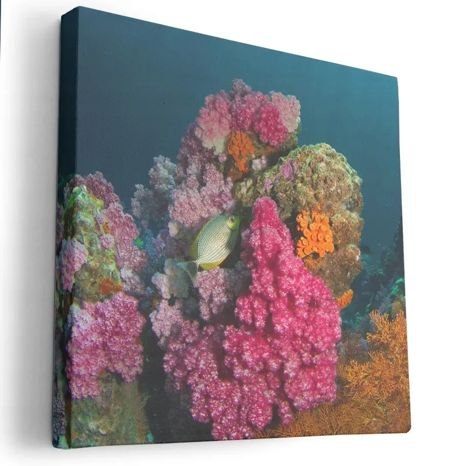 obraz-na-plotnie-80x80-m2p-ocean-07-canvas-wzory