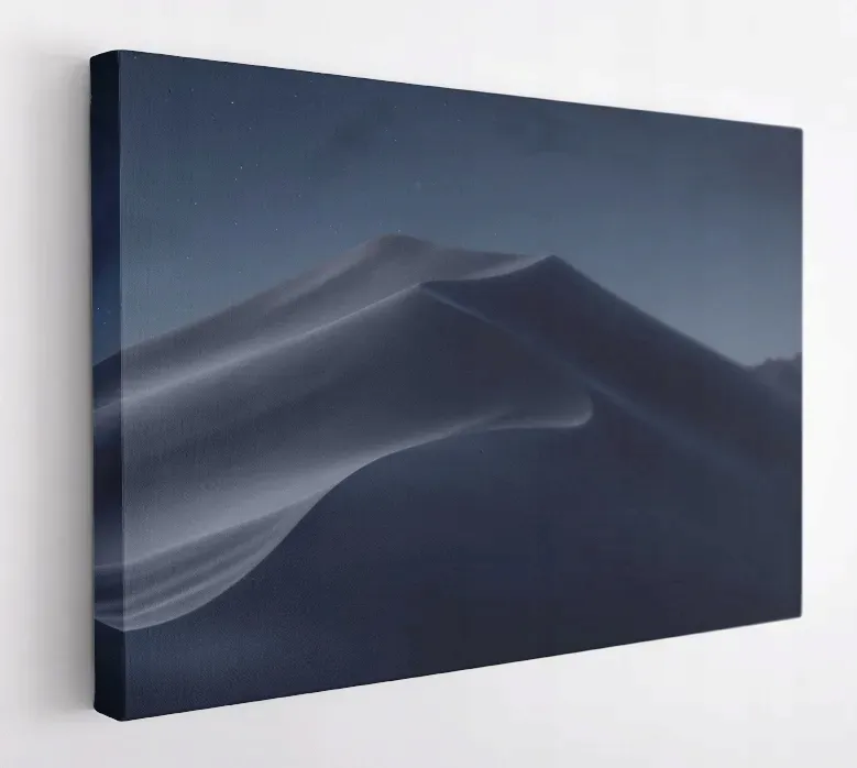 obraz-na-plotnie-100x75-m2p-pustynia-14-canvas