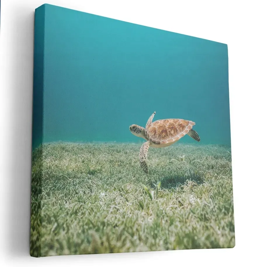obraz-na-plotnie-80x80-m2p-ocean-02-canvas-wzory