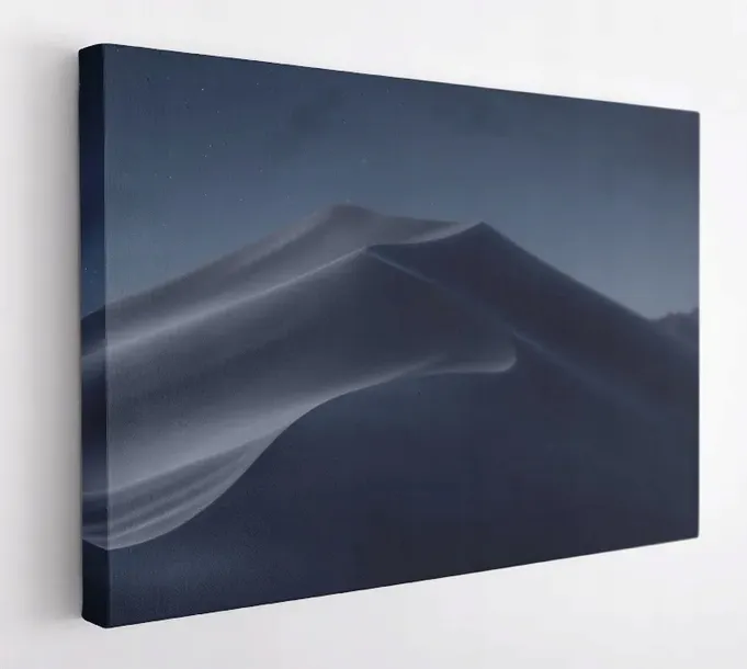 obraz-na-plotnie-70x50-m2p-pustynia-14-canvas