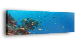 obraz-na-plotnie-145x45-m2p-ocean-15-canvas-wzory