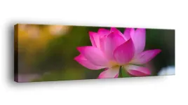 obraz-na-plotnie-145x45-m2p-rosliny-20-canvas