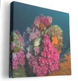 obraz-na-plotnie-40x40-m2p-ocean-07-canvas-wzory