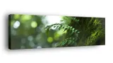 obraz-na-plotnie-145x45-m2p-rosliny-10-canvas