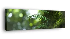 obraz-na-plotnie-145x45-m2p-rosliny-10-canvas