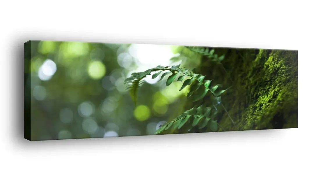 obraz-na-plotnie-145x45-m2p-rosliny-10-canvas