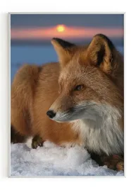 plakat-a4-21x30-w-ramie-m2p-lis-01