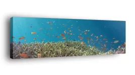 obraz-na-plotnie-145x45-m2p-ocean-05-canvas-wzory