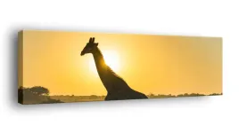 obraz-na-plotnie-145x45-m2p-sawanna-12-canvas
