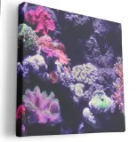 obraz-na-plotnie-40x40-m2p-ocean-18-canvas-wzory