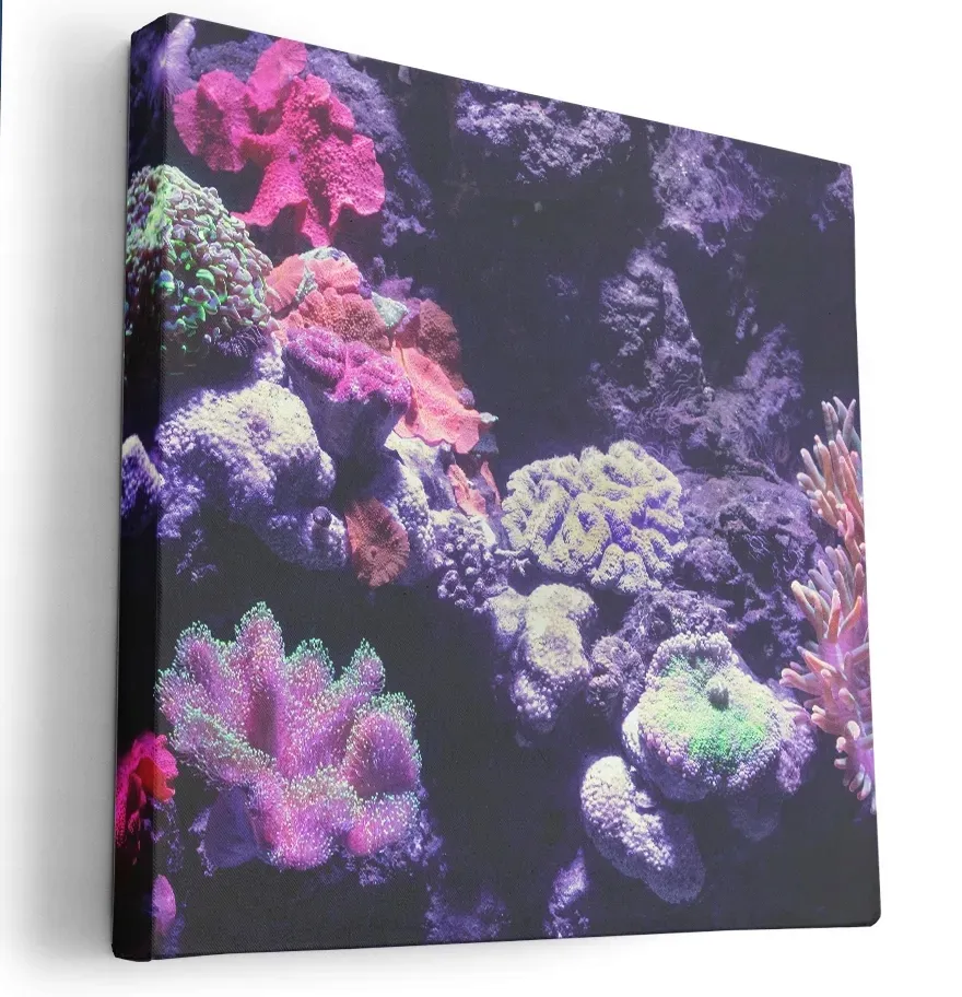 obraz-na-plotnie-40x40-m2p-ocean-18-canvas-wzory