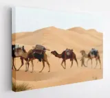 obraz-na-plotnie-35x25-m2p-pustynia-16-canvas