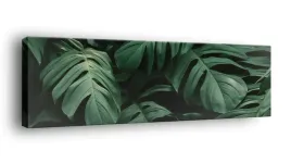 obraz-na-plotnie-145x45-m2p-rosliny-03-canvas