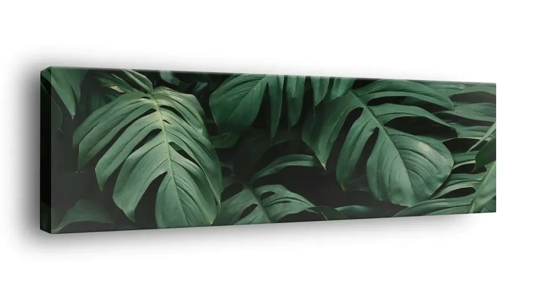 obraz-na-plotnie-145x45-m2p-rosliny-03-canvas
