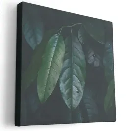 obraz-na-plotnie-40x40-m2p-rosliny-18-canvas-wzory