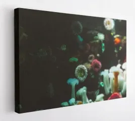 obraz-na-plotnie-100x75-m2p-ocean-08-canvas-wzory