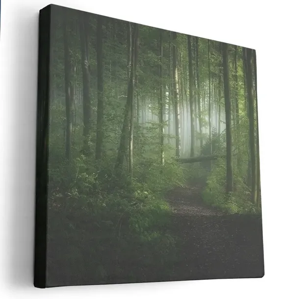 obraz-na-plotnie-80x80-m2p-las-06-canvas-wzory