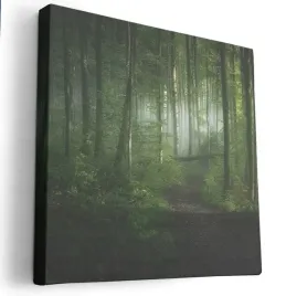 obraz-na-plotnie-80x80-m2p-las-06-canvas-wzory