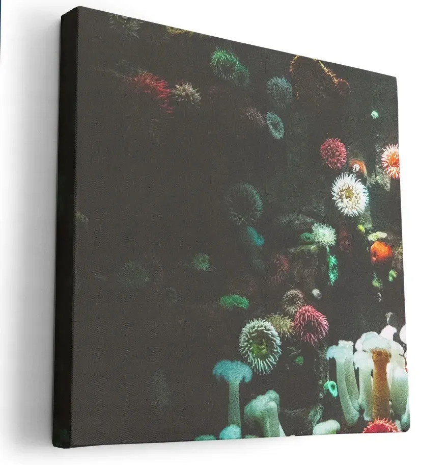 obraz-na-plotnie-80x80-m2p-ocean-08-canvas-wzory