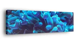 obraz-na-plotnie-145x45-m2p-ocean-14-canvas-wzory