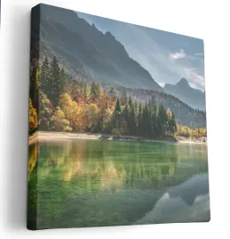obraz-na-plotnie-40x40-m2p-las-03-canvas-wzory