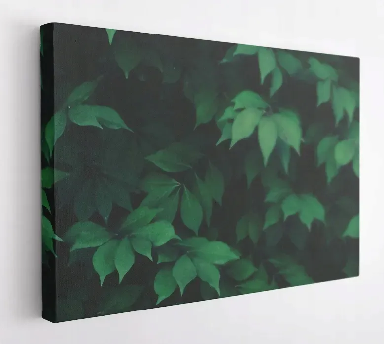 obraz-na-plotnie-100x75-m2p-rosliny-07-canvas